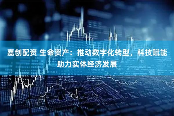 嘉创配资 生命资产：推动数字化转型，科技赋能助力实体经济发展